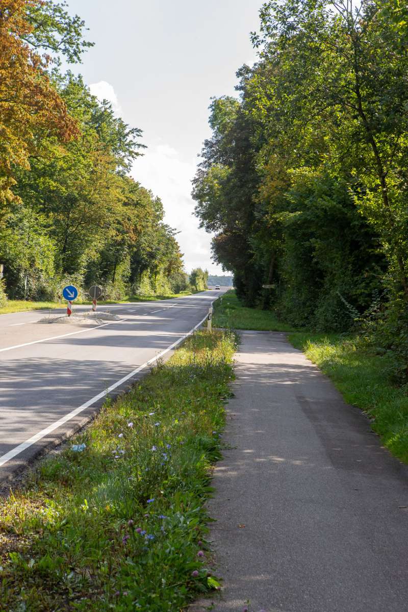 Zwischen dem Parkplatz an der K1633 (Königssträßle) bis zur L1107 soll der Radweg verlängert werden: Für neuen Radweg wird anderswo aufgeforstet