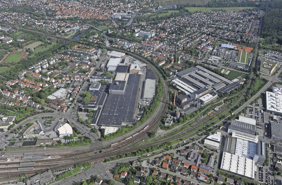 Neue Stelle für Klimaschutz in Bietigheim-Bissingen: „Städte haben eine wichtige Rolle bei der Dekarbonisierung“