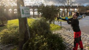 Bis zum 31. Januar werden die gesammelten Tannenbäume regelmäßig von der Bietigheim-Bissinger Stadtgärtnerei abgeholt. Wie etwa von der Sammelstelle am Viadukt am Enzsteg. ⇥ Foto: Helmut Pangerl
