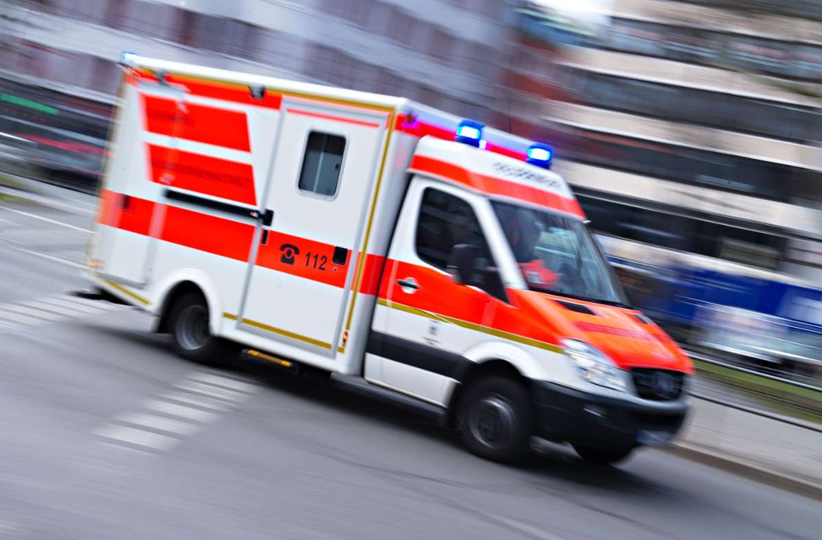 Vaihingen an der Enz: Zwei Verletzte nach Auffahrunfall – Welpe dank Sicherung unverletzt