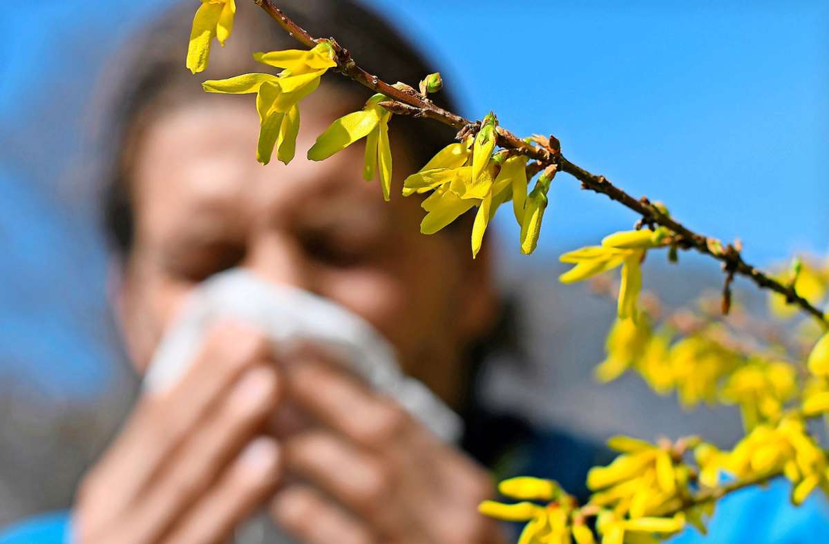 Allergiezeit im Landkreis Ludwigsburg: Wenn die Nase läuft oder die Haut juckt