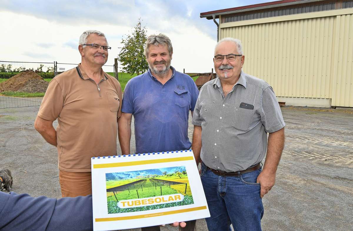 Pläne für Agri-Photovoltaik in Sersheim: Oben Stromerzeugung, unten Blattsalat und Erdbeeren