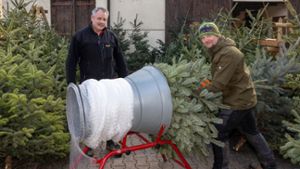 Weihnachtsbaumparadies auf dem Weißenhof in Löchgau. Von links: Michael Müller aus Benningen und Inhaber Slawomir Raducki. ⇥ Foto: Helmut Pangerl