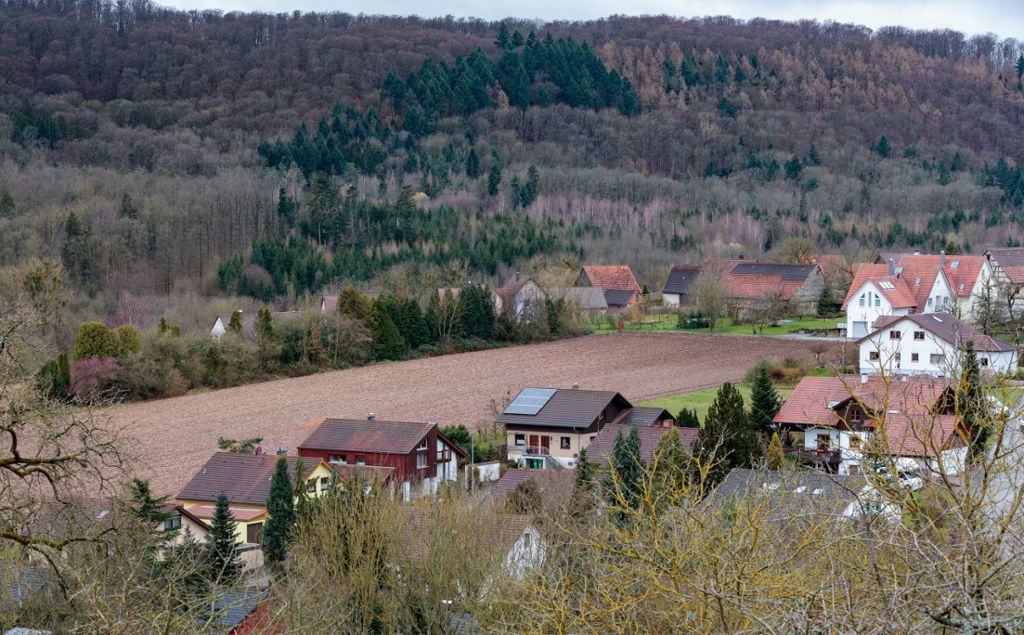 Geplante Wohnbebauung in Ochsenbach: Kritik am Baugebiet „In den Gärten“