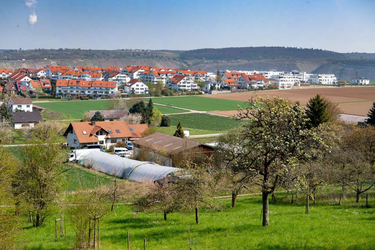 Planungsausschuss in Stuttgart diskutiert den Flächennutzungsplan Besigheim: Nicht alle Pläne gefallen der Region