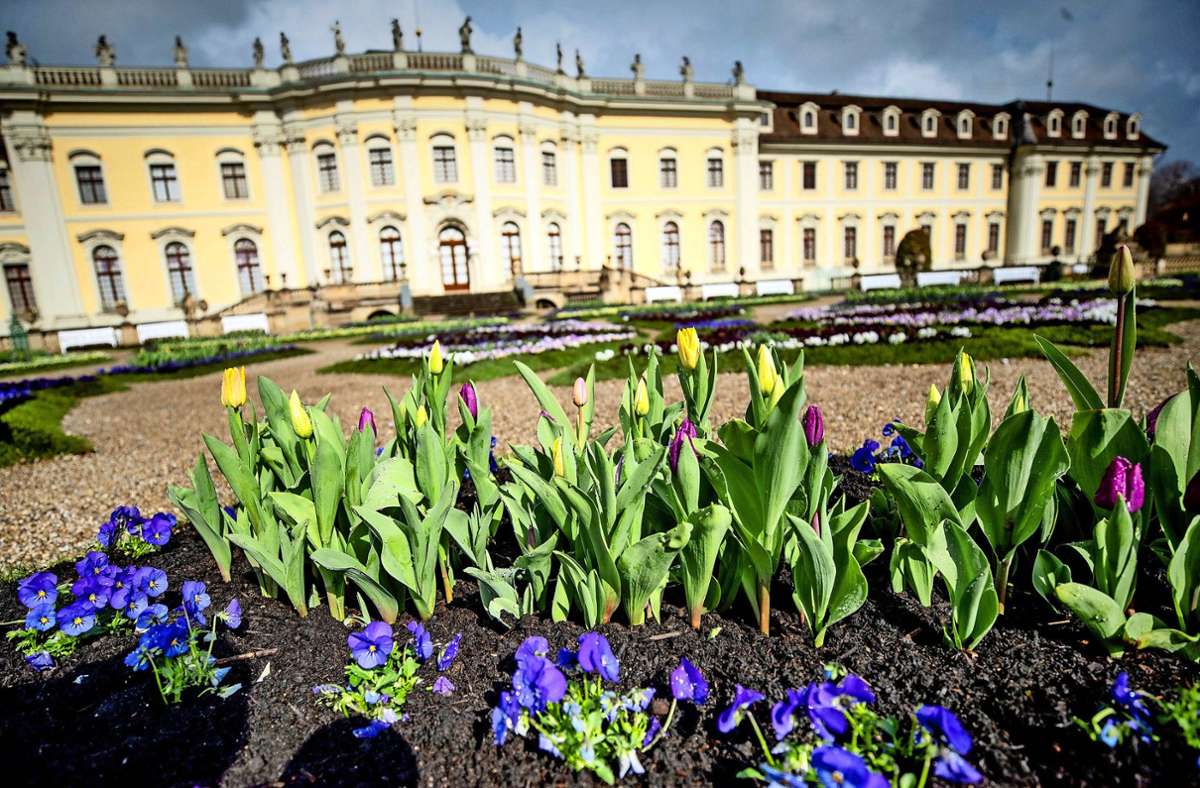 Coronalockerungen in  Ludwigsburg: Testpflicht fürs Blühende Barock  fällt weg