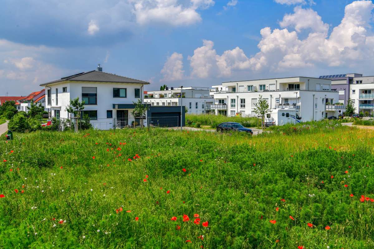 Besigheim strebt eine bessere Baulandpolitik an: Ziel: Möglichst viel Baugrund kaufen