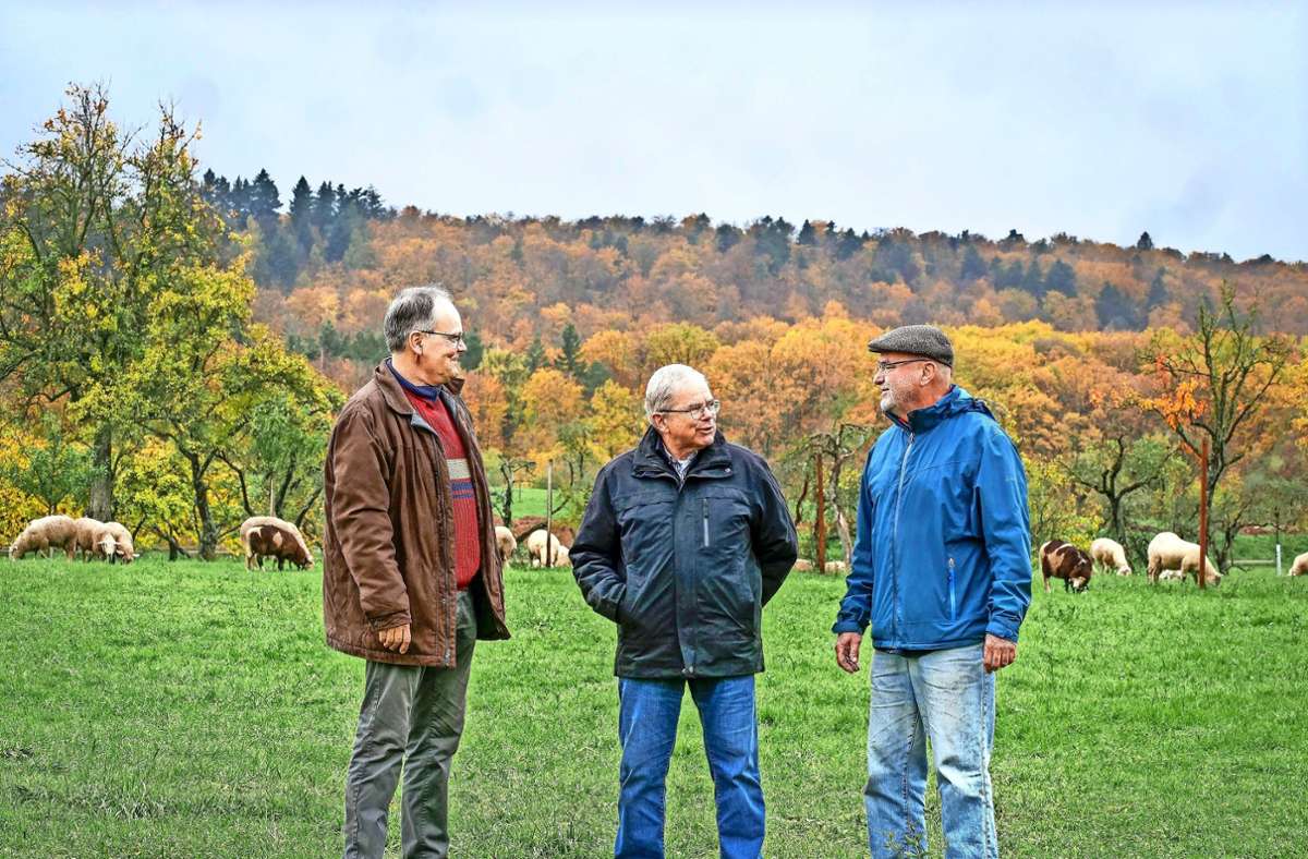 Neuer Anlauf für Bönnigheimer Bürgerwindrad: Frischer Wind am Rotenberg