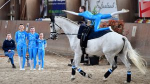 Beim Voltigier-Wettbewerb zeigte auch ein Team aus Leonberg seine Künste auf dem Pferderücken.⇥ Foto: Martin Kalb