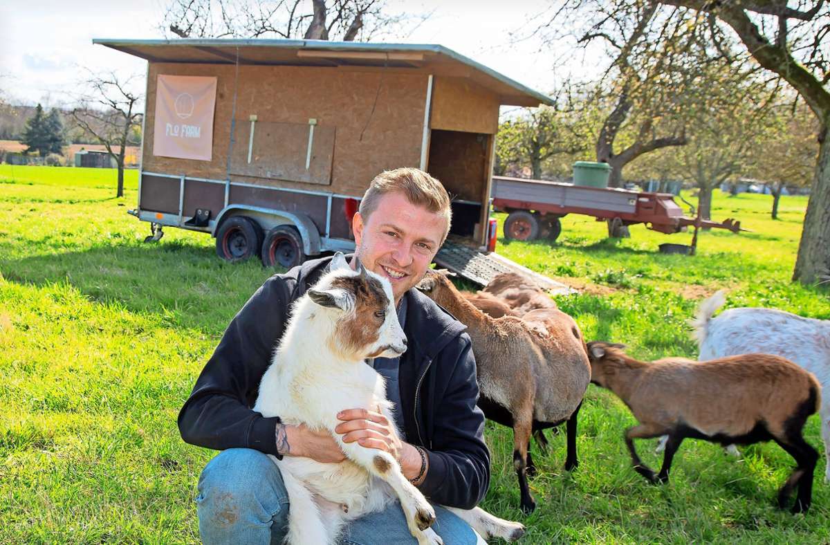 Hof in Bönnigheim: Zu Ostern sind die Schafe und Ziegen auf dem Hof