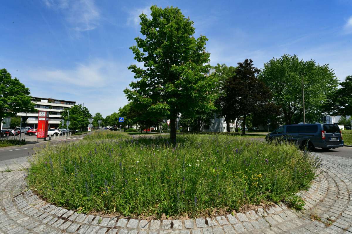 Grünflächenmanagement in Bietigheim-Bissingen: Es summt und brummt im Verkehrsgrün