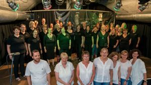 Das Ensemble Vocalis ist Teil der Chorvereinigung Bissingen und gab 2019 im Bietigheimer Kleinkunstkeller das vorerst letzte Konzert unter dem Motto „City Lights“. ⇥