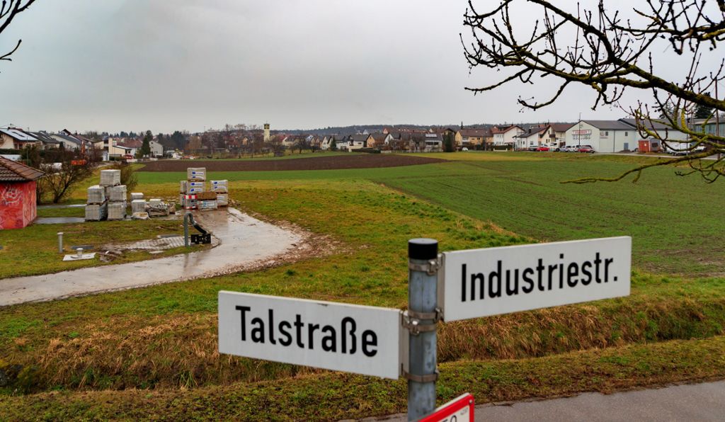 Für „Bonlanden“ sind Wohnungen und ein Park möglich: Neue Pläne für Sersheims „grüne Lunge“
