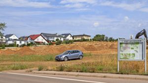 Im Birkenfeld in Kleinsachsenheim ist ein 3,5 Hektar großes Neubaugebiet geplant.   Foto: /Oliver Bürkle