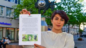 Die Iranerin Lili M. sucht für ihre Hunde (von oben) Fancy, Tedy und Milo, eine Pflegestelle in Bietigheim-Bissingen.⇥