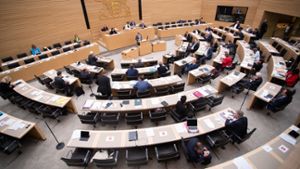 Wegen der Pandemie sitzen auch die Abgeordneten im Stuttgarter Landtag weiter auseinander. Wer in das Rennen um die Sitze aus dem Landkreis für die nächste Legislaturperiode einsteigt, ist längst noch nicht bei allen entschieden. ⇥