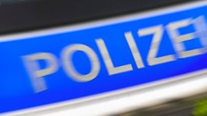 Diebstahlserie im Kreis Ludwigsburg: Polizei schnappt Autorüttler