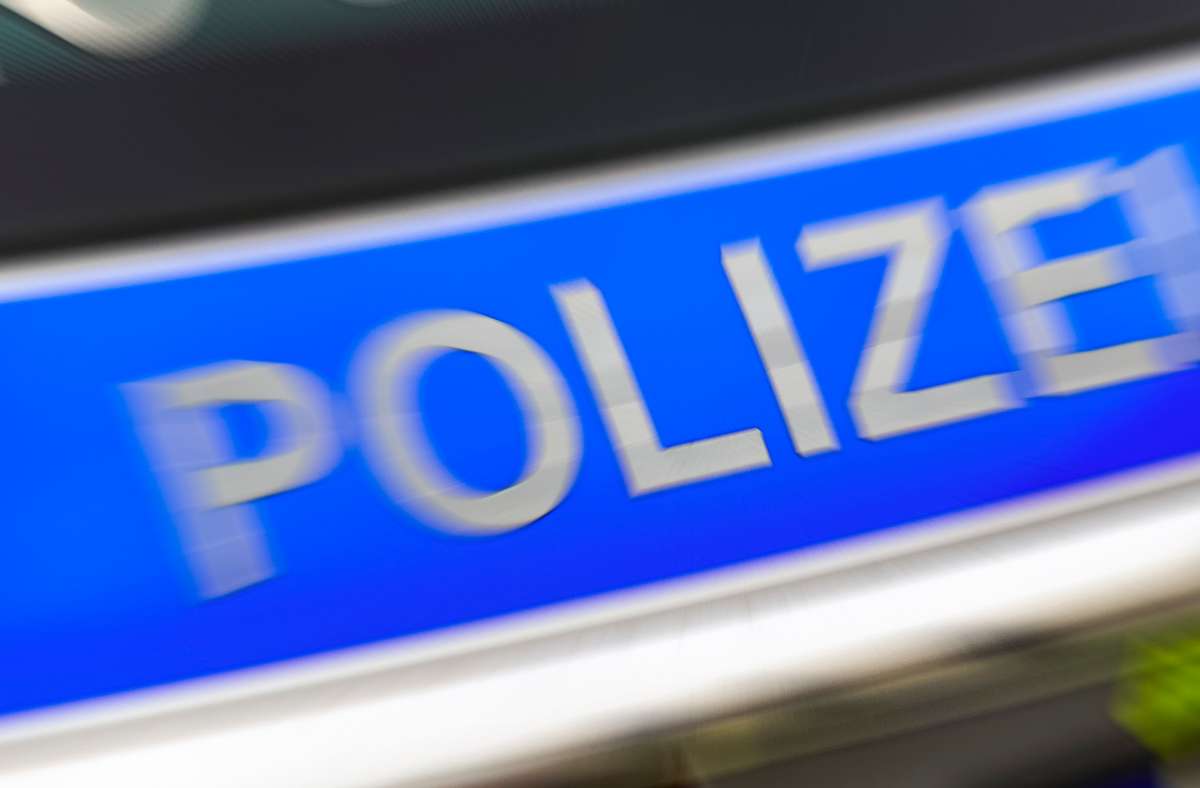 Diebstahlserie im Kreis Ludwigsburg: Polizei schnappt Autorüttler