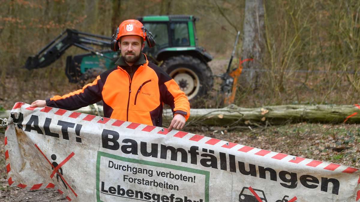 Bietigheim-Bissingen: Derzeit läuft die Holzernte im Forst