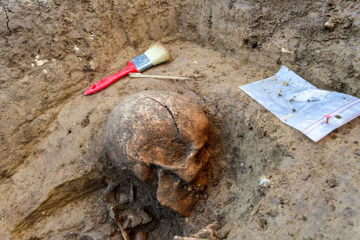 Archäologen haben beim Eichwald ein äußerst ungewöhnliches Grab aus der Jungsteinzeit gefunden. Der Verstorbene wurde auf dem Bauch liegend, mit dem Gesicht nach unten begraben.