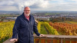 Der Erligheimer Bürgermeistergespräch Rainer Schäuffele hat vom Aussichtspunkt Weinkanzel den besten Blick auf seine Gemeinde. Foto: Helmut Pangerl