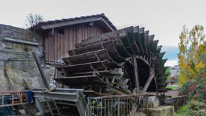 Historische Mühle im Enzpark Besigheim: Gericht oder Gespräche?