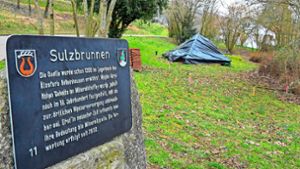 Sachsenheim: Aufbau soll im März starten