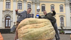 Deutsche Meisterschaft im Kürbiswiegen in Ludwigsburg: Schwerster Kürbis wiegt 796 Kilo