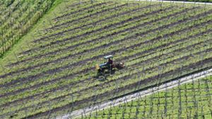 Ein Winzer bearbeitet in einem Weinberg in Stuttgart mit einem Traktor den Boden. Nach Frostnächten fürchten Winzer und Obstbauern Ernteausfälle.