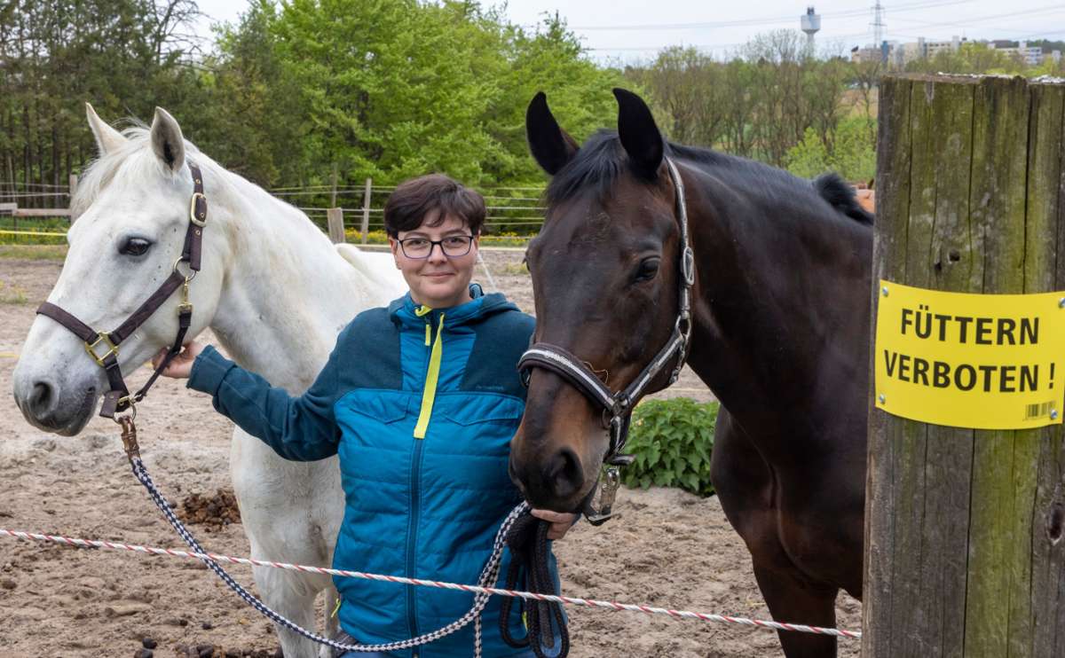 Besucher füttern unerlaubt Pferde auf dem Fisslerhof in Tamm: Karotten und Äpfel können Pferde krank machen