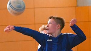 Süddeutsche U14-Meisterschaft im Jugendfaustball: Ochsenbach löst das DM-Ticket