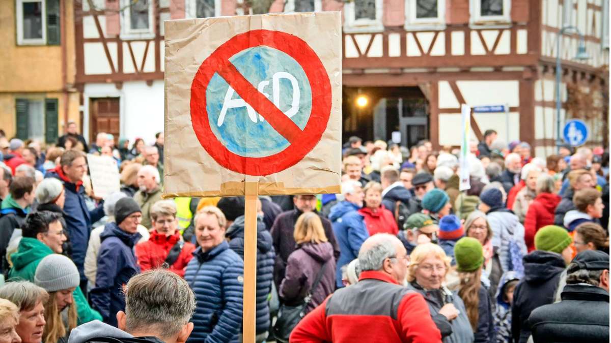 Demo für Demokratie und gegen Rechtsextremismus: Auch in Ditzingen gehen die Menschen auf die Straße